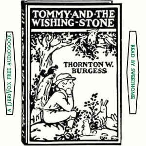 Tommy and the Wishing Stone cover
