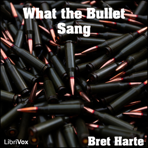 What the Bullet Sang cover