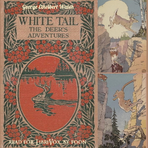 White Tail the Deer's Adventures cover