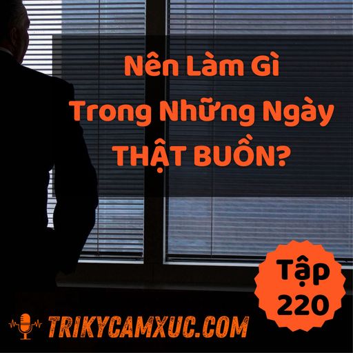 Ep219: Nên Làm Gì Trong Những Ngày Thật Buồn? - Tri kỷ cảm xúc #220 cover