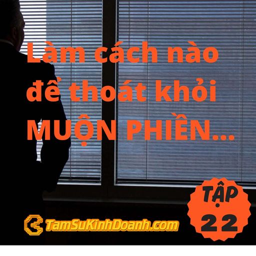 Ep22: Làm cách nào để thoát khỏi MUỘN PHIỀN...- Tâm Sự Kinh Doanh #22 cover