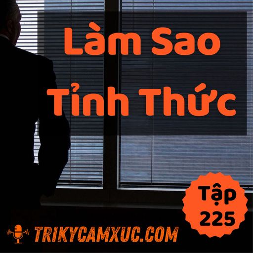 Ep224: Làm Sao Tỉnh Thức (Với Thật Ít Nỗ Lực Và Kỷ Luật) - Tri kỷ cảm xúc #225 cover