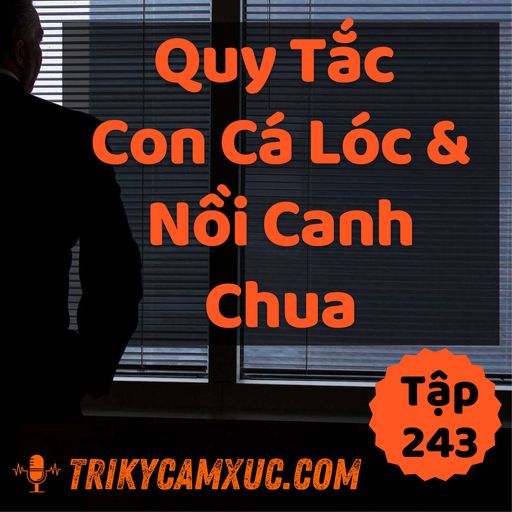 Ep242: Quy Tắc "Con Cá Lóc Và Nồi Canh Chua" - Tri kỷ cảm xúc #243 cover