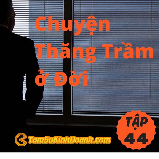 Ep44: Chuyện Thăng Trầm ở Đời - Tâm Sự Kinh Doanh #44 cover