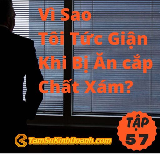 Ep57: Vì Sao Tôi Tức Giận Khi Bị Ăn cắp Chất Xám? - Tâm Sự Kinh Doanh #57 cover