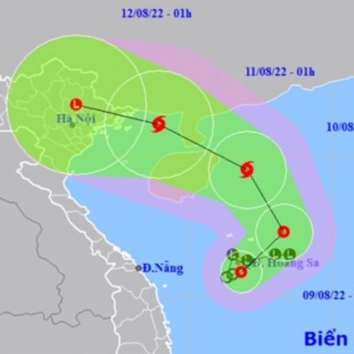 Ep3562: Thời sự 6h (9/8/2022) cover