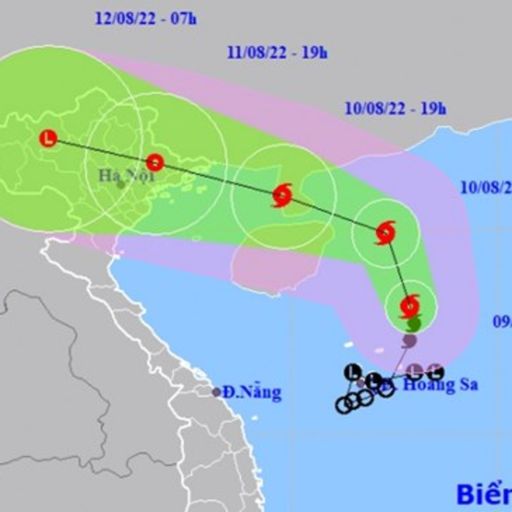 Ep3565: Thời sự 6h (10/8/2022) cover