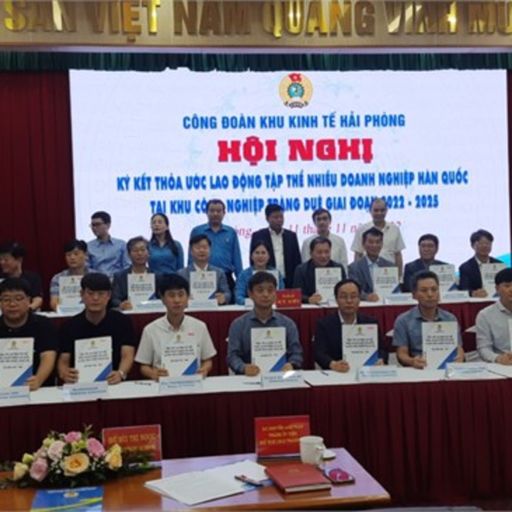 Ep3845: Thời sự 6h (12/11/2022) cover