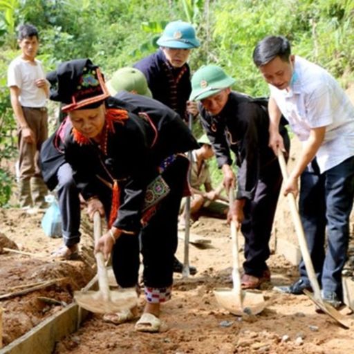 Ep4631: Thời sự 12h (3/8/2020) cover