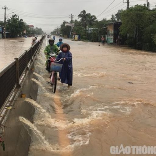 Ep760: VOV - Thời sự 12h (1/11/2019) cover