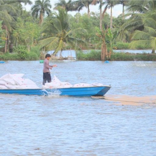 Ep1505: VOV - Tin trong nước: Đồng bằng Sông Cửu Long cần làm gì để sản phẩm cá tra bứt tốc  cover