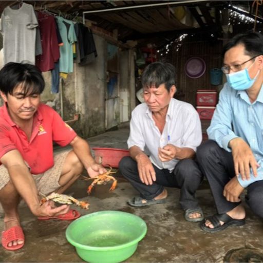 Ep1858: VOV - Tin trong nước: Cà Mau: Tái diễn thực trạng cua chết hàng loạt, người dân đứng ngồi không yên cover