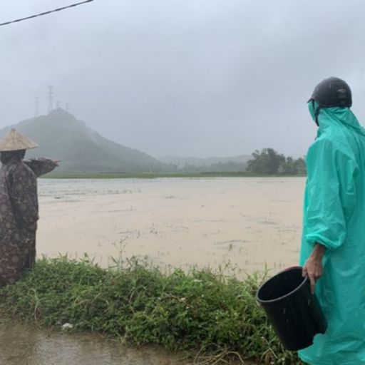 Ep2030: VOV - Tin trong nước: Đà Nẵng: Mưa lớn gây ngập hàng trăm héc ta lúa, rau màu  cover