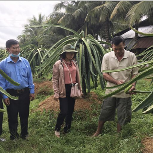 Ep2665: Tin trong nước: Nguồn vốn chính sách hỗ trợ người dân phát triển kinh tế sau đại dịch  cover