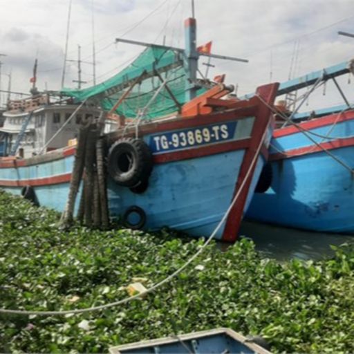 Ep3264: Tin trong nước: Tiền Giang: Tàu cá nằm bờ, hải sản khan hàng giá tăng vọt cover