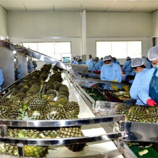 Ep3491: Tin trong nước: Đảm chất lượng vệ sinh an toàn thực phẩm để nông sản Việt thâm nhập vào thị trường Châu Âu cover