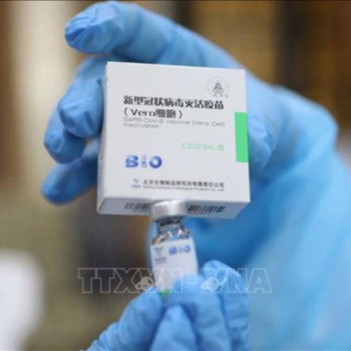 Ep503: VOV - Tin quốc tế: WHO cấp phép sử dụng khẩn cấp vaccine Sinopharm của Trung Quốc cover