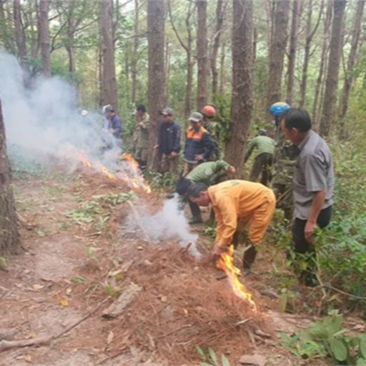 Ep6599: Tin trong nước - Gia Lai: Tăng cường biện pháp phòng chống cháy rừng cover