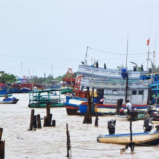 Ep6605: Tin trong nước - Cà Mau: Lắp thiết bị giám sát tàu cá không chỉ để xử lý vi phạm vùng biển nước ngoài cover