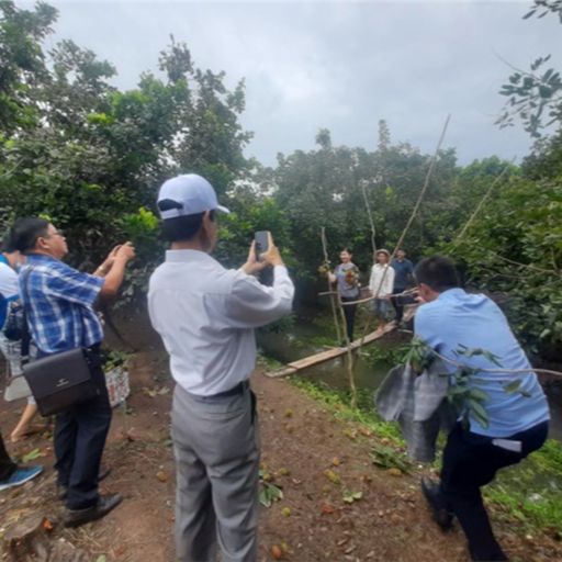 Ep6621: Tin trong nước - Vĩnh Long ban hành đề án phục hồi kinh tế sau đại dịch Covid 19  cover