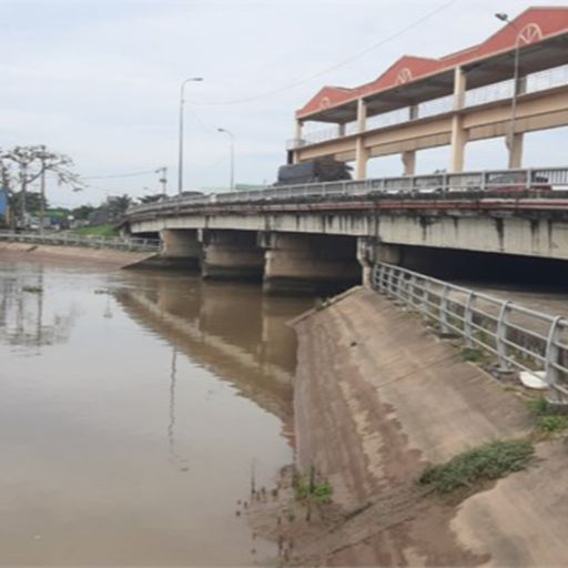 Ep6726: Tin trong nước - Tiền Giang: Khẩn trương "đón" nước ngọt vào đồng khi độ mặn trên sông giảm cover