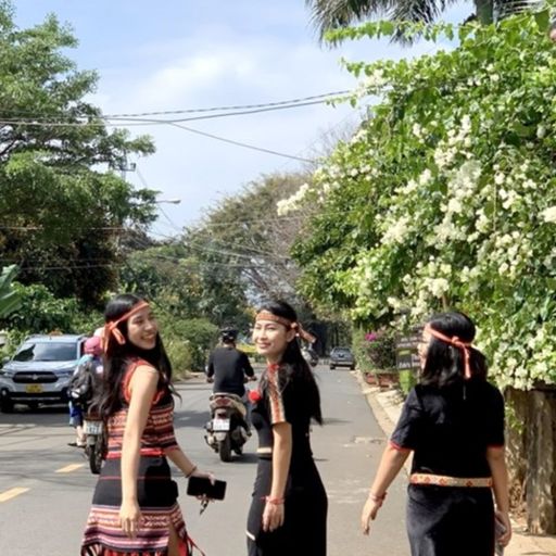 Ep6771: Tin trong nước - Lễ hội cà phê - Nơi dệt các sắc màu văn hoá cover