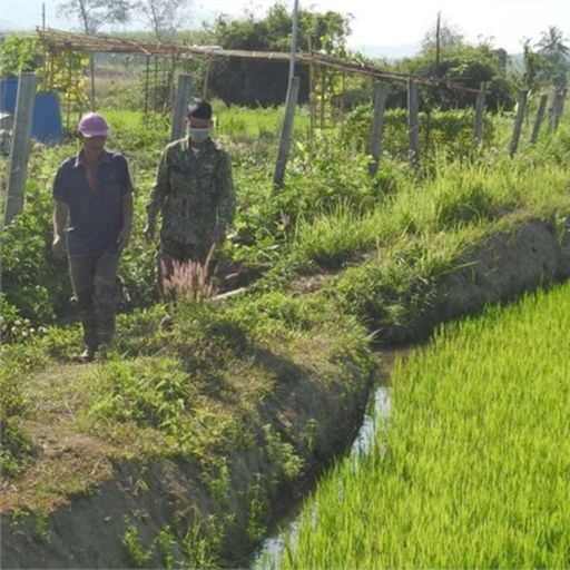 Ep6799: Tin trong nước - Kon Tum: Giảm thiểu thiệt hại trong sản xuất nông nghiệp giai đoạn cuối mùa khô cover