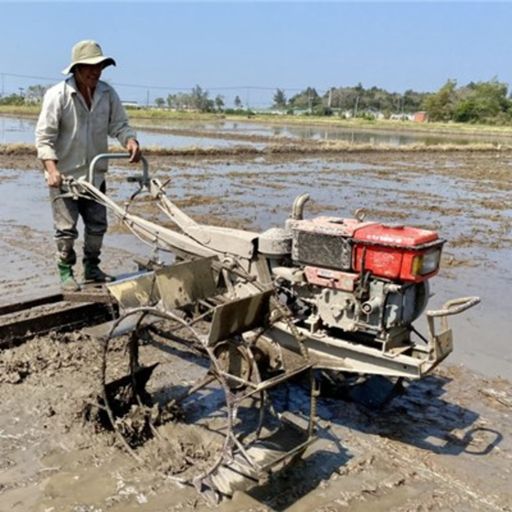 Ep6869: Tin trong nước - Người trồng hoa màu phấn khởi vì không khí lạnh kéo dài cover