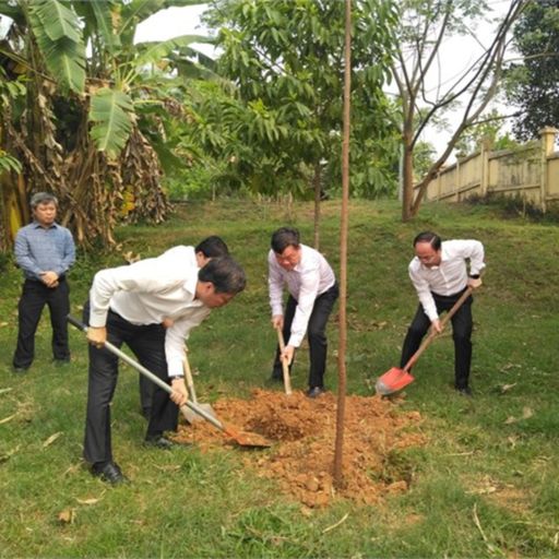 Ep7020: Tin trong nước - Bắc Kạn kiến nghị một số chính sách để người dân có thể “sống” được từ rừng cover