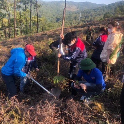 Ep7030: Tin trong nước - Tuổi trẻ Quảng Ninh hưởng ứng chiến dịch Giờ trái đất 2023  cover