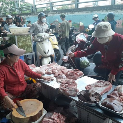 Ep7049: Tin trong nước - Giá heo hơi giảm sâu nhưng giá thịt heo ở chợ chưa giảm cover