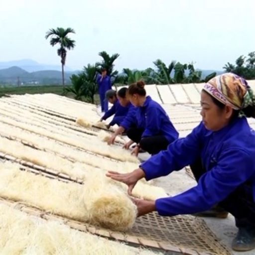 Ep7107: Tin trong nước - Phụ nữ miền núi Yên Bái nỗ lực khởi nghiệp cover