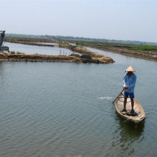 Ep7110: Tin trong nước - Thừa Thiên Huế: Phát triển hệ đầm phá Tam Giang - Cầu Hai trở thành “Công viên đầm phá Quốc gia” cover