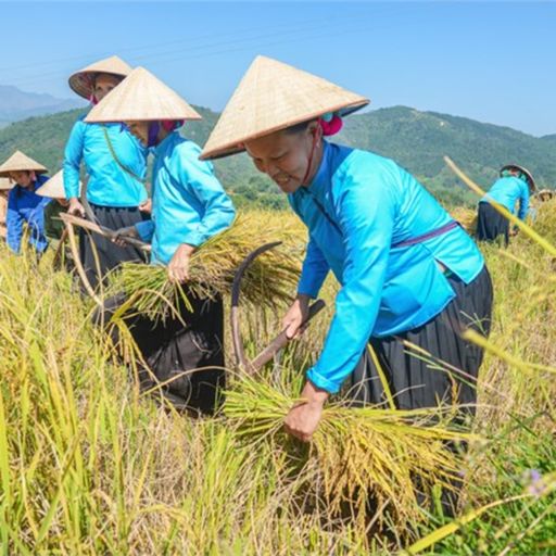 Ep7156: Tin trong nước - Quảng Ninh nâng chuẩn nghèo gấp 1,4 lần cả nước cover