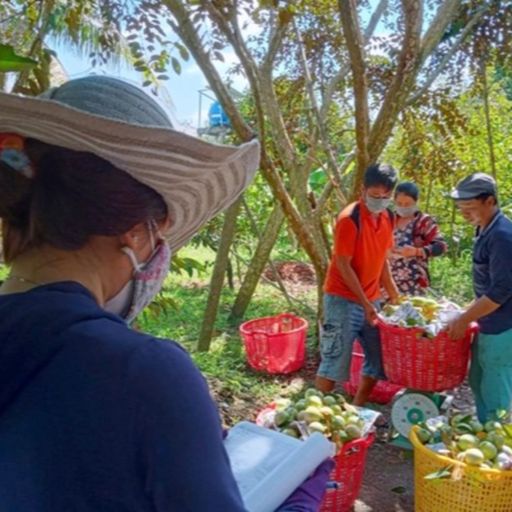 Ep7280: Tin trong nước - Biến đổi khí hậu – Hợp tác xã vùng ĐBSCL cần tận dụng cơ hội để phát triển cover