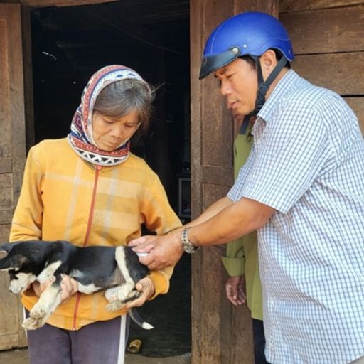 Ep7281: Tin trong nước - Khó tiêm phòng vắc xin cho chó, mèo, Đắk Lắk đối mặt với bệnh dại  cover