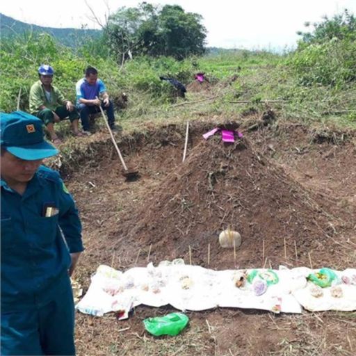 Ep7363: Tin trong nước - Lễ tảo mộ của người Tày Bình Liêu, Quảng Ninh cover