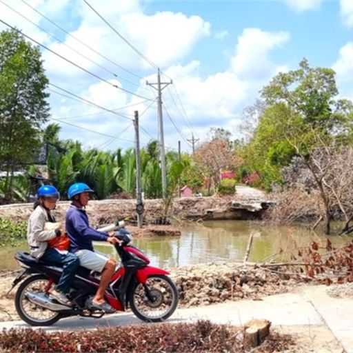 Ep7697: Tin trong nước - Cà Mau: Nan giải tình trạng sạt lở ven sông ngay trong mùa khô  cover