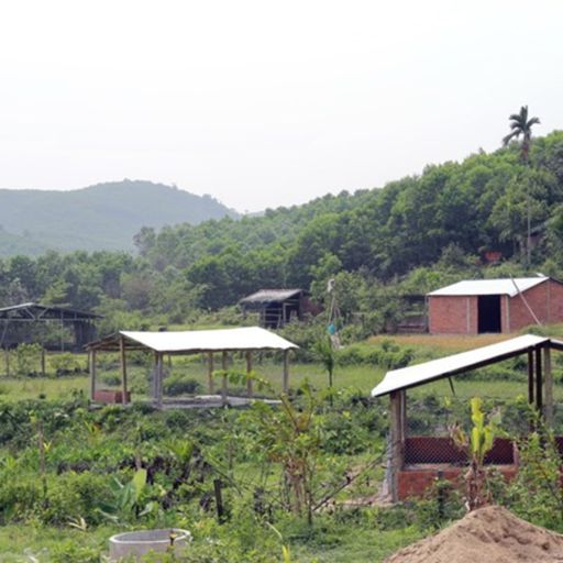 Ep7709: Tin trong nước - Quảng Nam: Tháo dỡ hàng loạt công trình xây dựng trái phép chờ đền bù cover