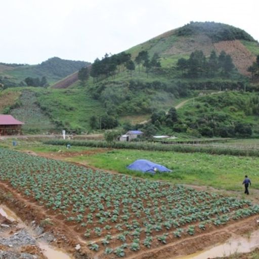 Ep7758: Tin trong nước - Giải pháp nào phát triển kinh tế tuần hoàn trong nông nghiệp ở Sơn La? cover