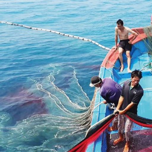 Ep7983: Tin trong nước - Cuối tháng này, Đoàn công tác Bộ Nông nghiệp sẽ sang và làm việc trực tiếp với EC về việc gỡ thẻ vàng thủy sản cover