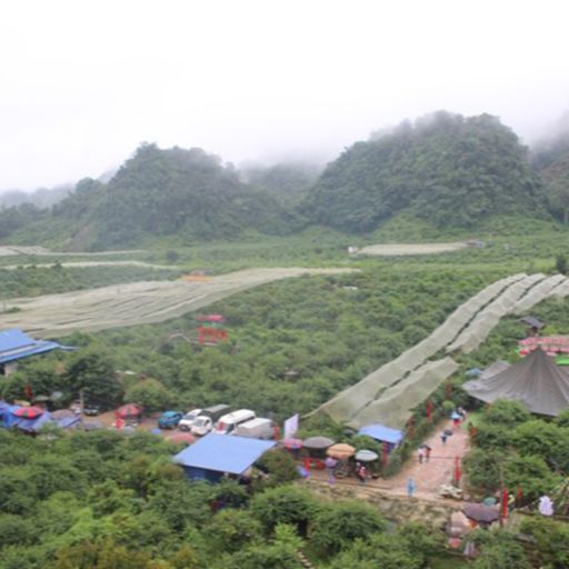 Ep7996: Tin trong nước - Tới Sơn La trải nghiệm “Điểm đến thiên nhiên khu vực hàng đầu thế giới” cover