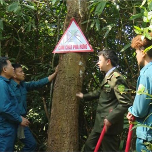 Ep8047: Tin trong nước - Gần 50 vụ cháy rừng xảy ra ở Sơn La trong hơn 1 tháng qua  cover