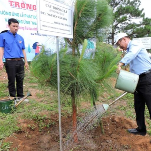 Ep8222: Tin trong nước - Kon Tum: Trồng hàng chục nghìn cây xanh hưởng ứng ngày môi trường thế giới 5/6 cover