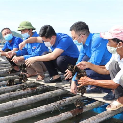 Ep8326: Tin trong nước - Cả nước có trên 25.500 mô hình, điển hình trong học tập và làm theo Bác cover