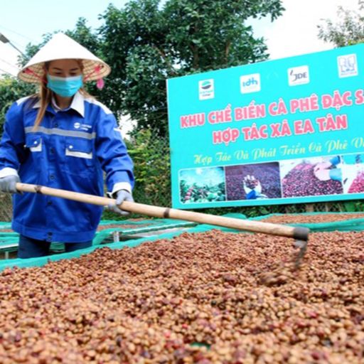 Ep8437: Tin quốc tế - Thách thức và cơ hội từ các quy định mới của EU trong sản xuất cà phê cover