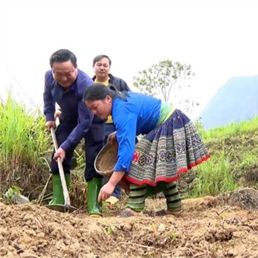 Ep8441: Tin trong nước - “Ngày cuối tuần cùng dân” ở Yên Bái cover