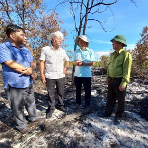 Ep8574: Tin trong nước - Vụ “đốt” rừng phòng hộ để diễn tập chữa cháy: “Sẽ kiểm điểm và rút kinh nghiệm” cover