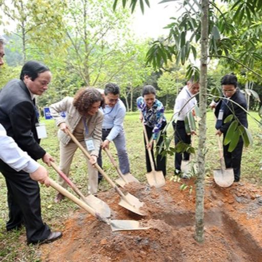 Ep8923: Tin trong nước - Đổi mới, nâng cao hiệu quả hoạt động công tác đối ngoại nhân dân  cover