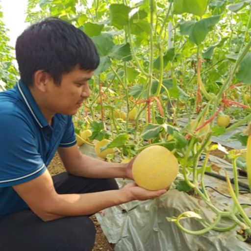 Ep8974: Tin trong nước - Lai Châu nâng cao giá trị sản xuất nông nghiệp cover